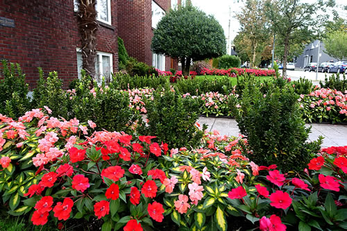 Trees Plus Landscape Maintenance Inc.